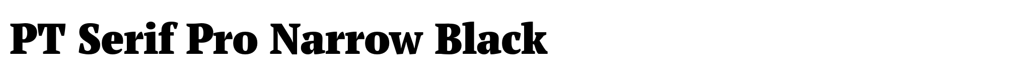 PT Serif Pro Narrow Black image